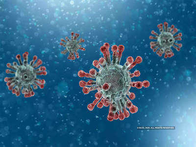 2003ના SARSની જેમ જ કોરોના વાયરસનો અંત આવશે? વૈજ્ઞાનિકોને મળી મહત્વની કડી 